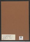 Debya sp. (de-Toni-Nr.: Genus 229) Zeichnungen Sammlung Grunow Mappe 05385 (Herbarium_W_Grunow_drawings_Folder_05385)